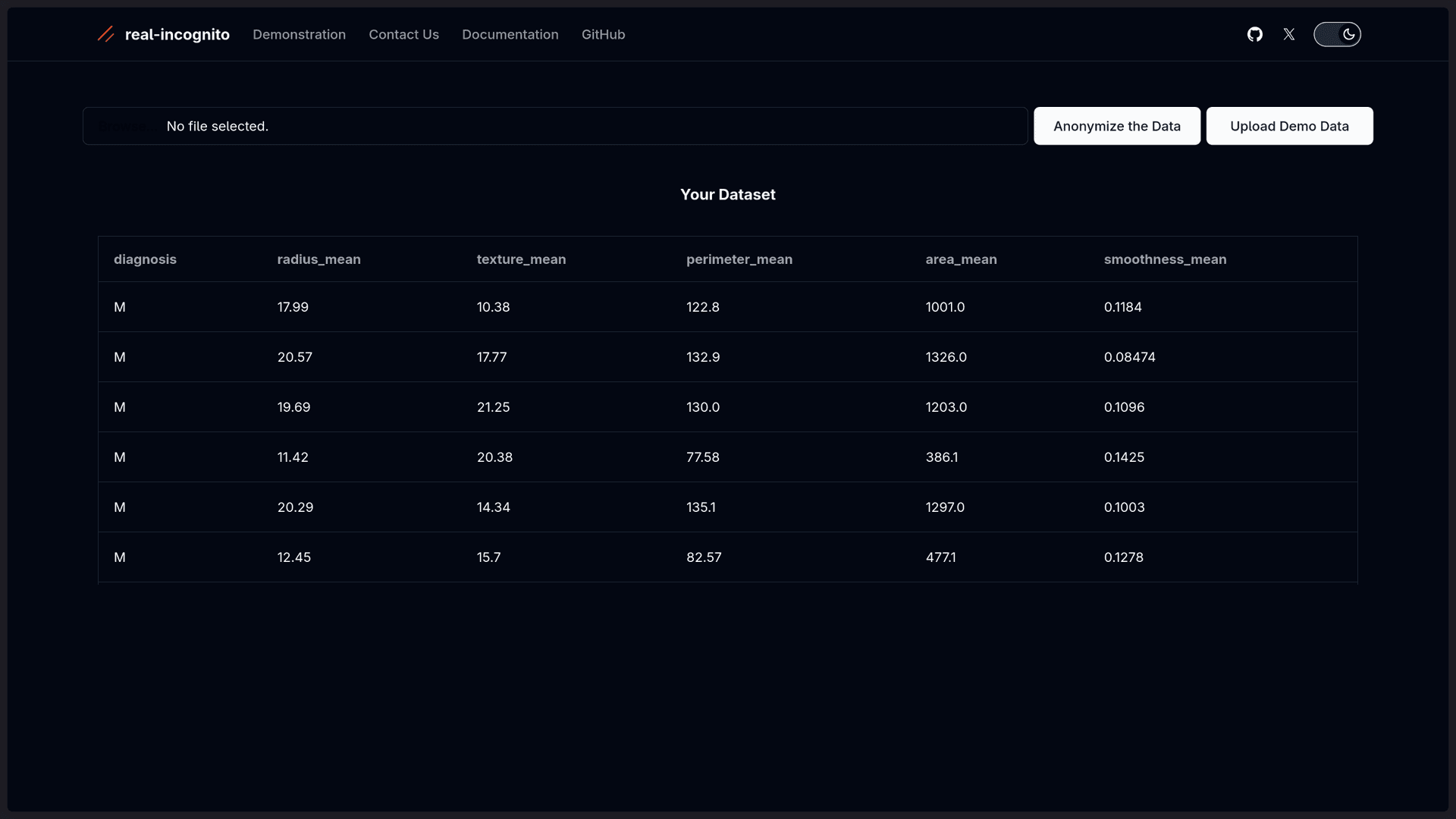 Real Incognito - AI Data Anonymizer screenshot 1